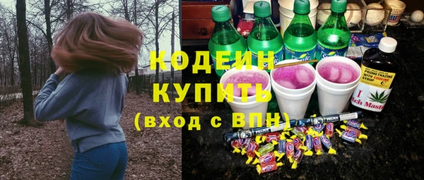 PSILOCYBIN Вяземский