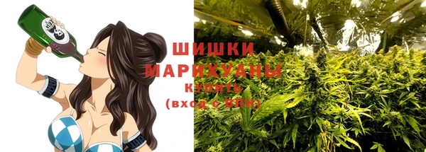 PSILOCYBIN Вяземский