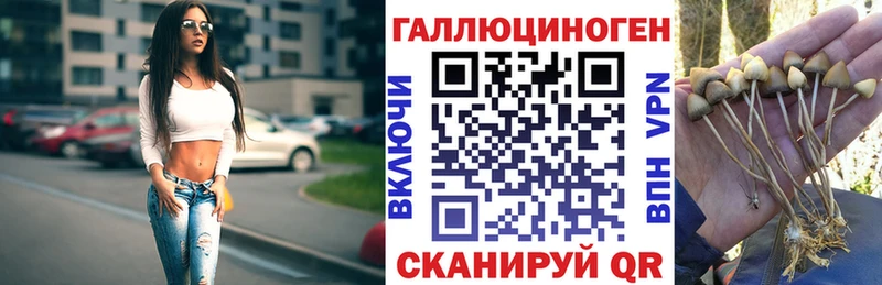 Купить  Ивдель  Галлюциногенные грибы мухоморы 